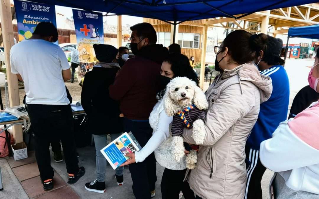 Feria de Tenencia Responsable de Mascotas contó con la participación del SAG tras muertes de guanacos por jaurías de perros
