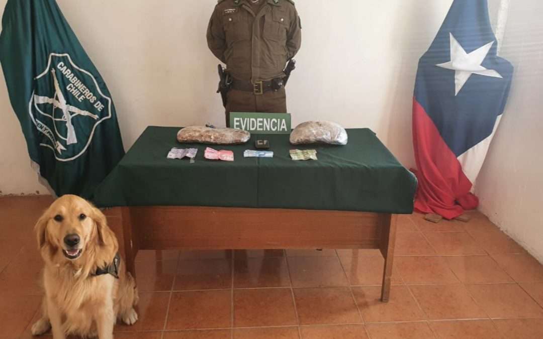 Cuatro sujetos son detenidos en Chañaral por los delitos de tráfico de drogas e infracción a la ley de armas