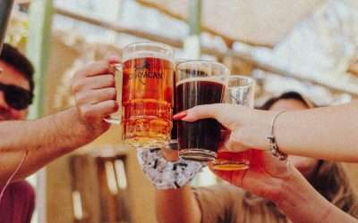 Cerveceros del Valle de Elqui, Coquimbo y La Serena crearon ruta turística