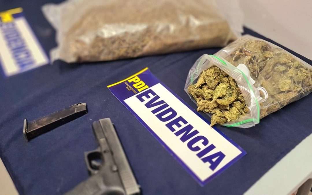 PDI de Atacama saca de circulación más de 1700 dosis de Cannabis