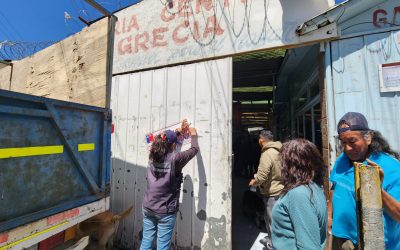 Salud inició sumario contra feria Central Grecia de Calama