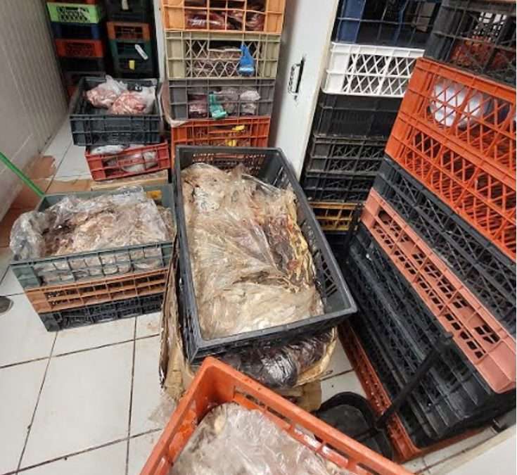 Decomisan más de 600 kilos de carne y 90 kilos de cecinas no aptas para el consumo en Copiapó