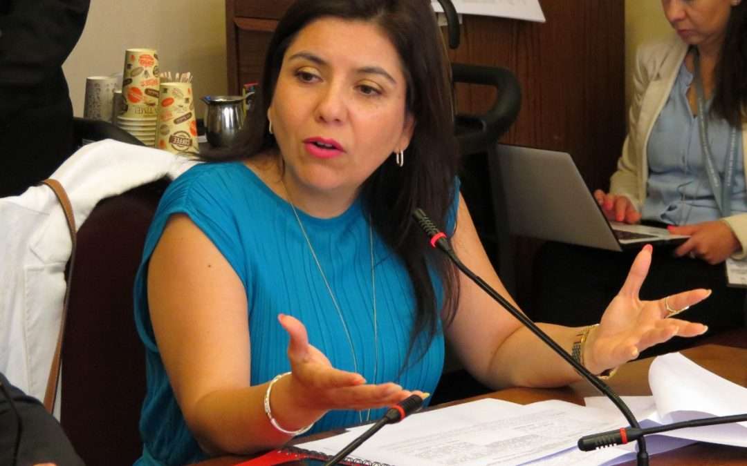 Posible arribo de bandas salvadoreñas:  Diputada Astudillo pide intervención de FFAA para enfrentar a bandas criminales internacionales