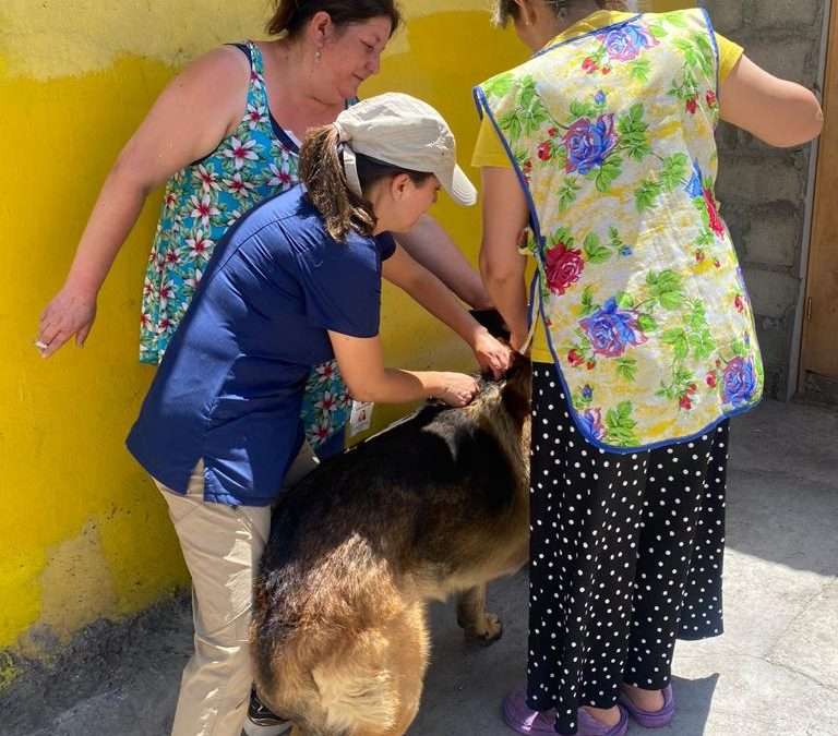 Realizan vacunación antirrábica por hallazgo de murciélago con rabia en Huasco