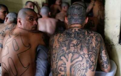 Autoridades salvadoreñas advierten migración de pandillas terroristas a Sudamérica