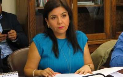 Diputada Danisa Astudillo (PS) solicitó al Gobierno Estado de Excepción en la región de Tarapacá