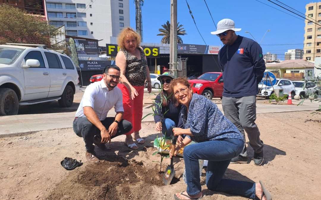 Seis proyectos ciudadanos resultaron ganadores del Fondo de Protección Ambiental en la Región de Antofagasta