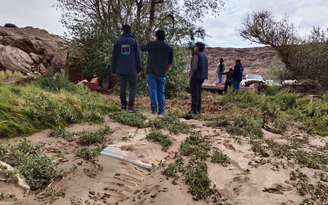 Autoridades  Regionales de Gobierno y de los Servicios del Agro realizan despliegue en terreno por las zonas afectadas en la Provincia de El Loa
